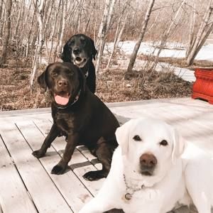 Meet your Posher, Cindy